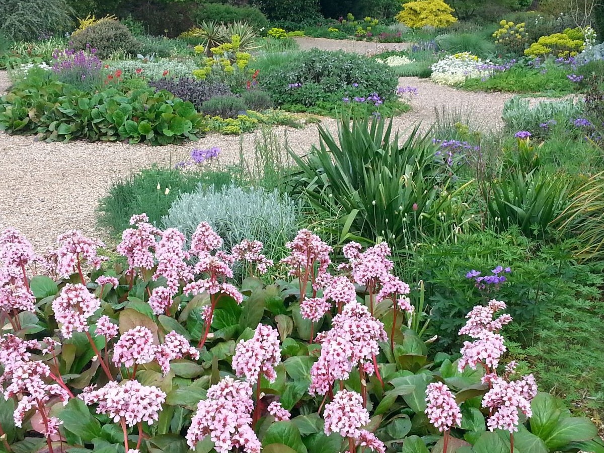 Principles of Garden Design The Beth Chatto Gardens