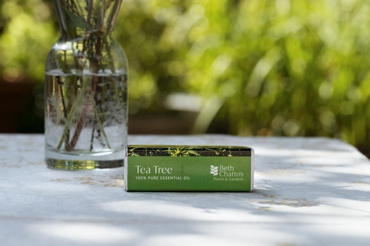 Tea Tree Essential Oil