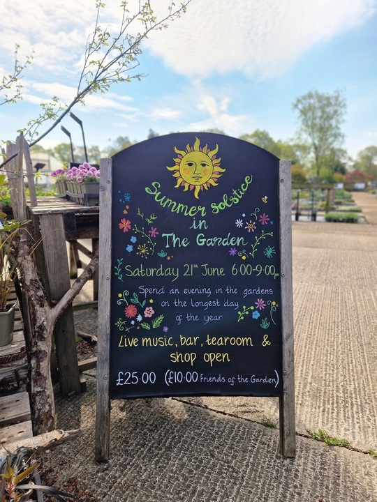 Summer Solstice in the Garden 