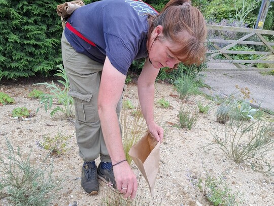 Seed Collection Course