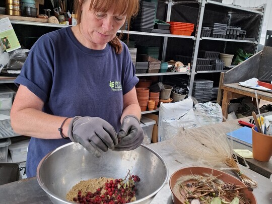 Seed Propagation Masterclass with Emily Allard
