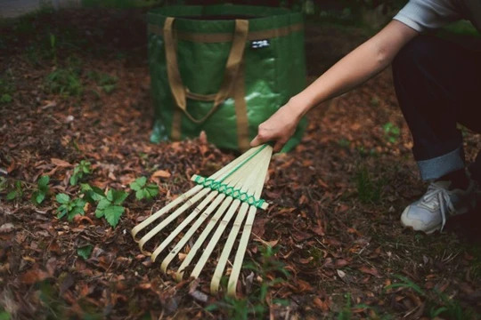 Niwaki Bamboo Hand Rake