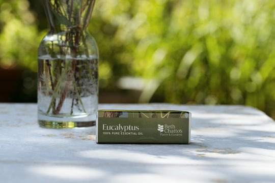 Eucalyptus Essential Oil