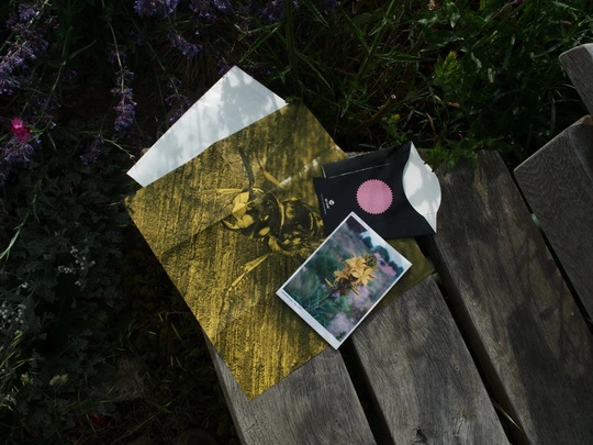 The Meanwhile Garden Zine #1