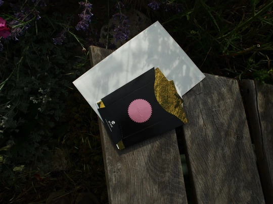 The Meanwhile Garden Zine #1