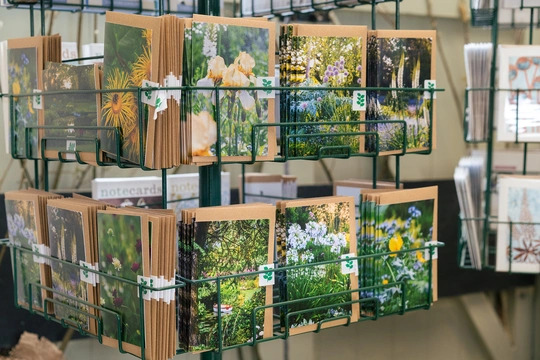 Beth Chatto Greetings Card