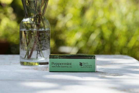 Peppermint Essential Oil