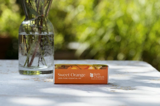 Sweet Orange Essential Oil