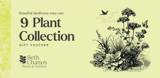 9 Plant Collection Voucher