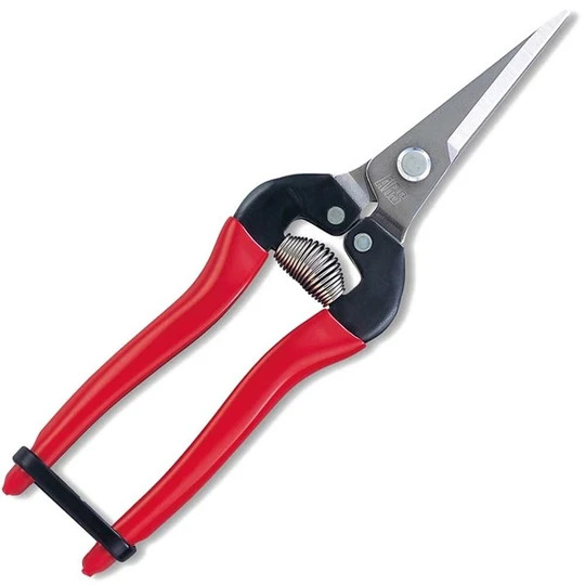 ARS Harvesting pruner