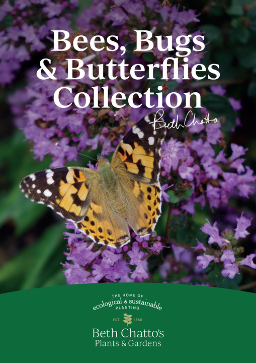  Beth Chatto's Bees, Bugs & Butterflies Collection