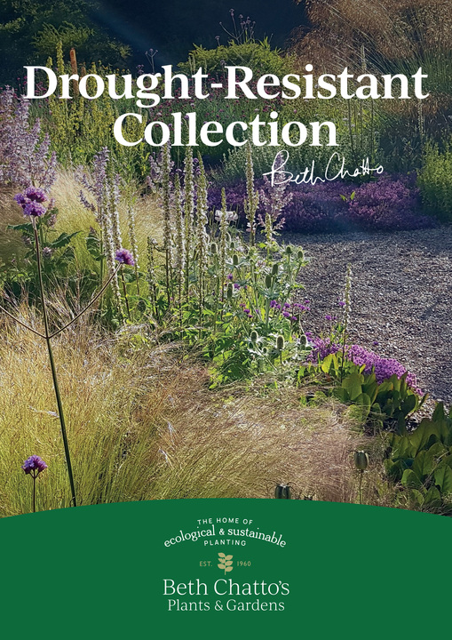  Beth Chatto's Drought-resistant Plant Collection
