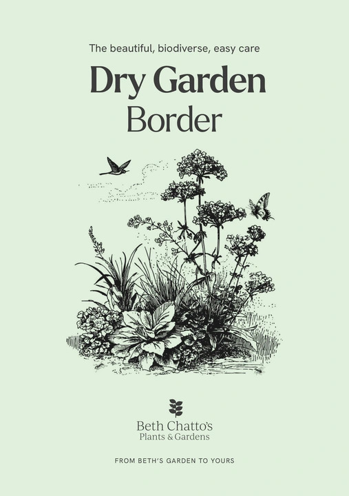 Dry Garden Border