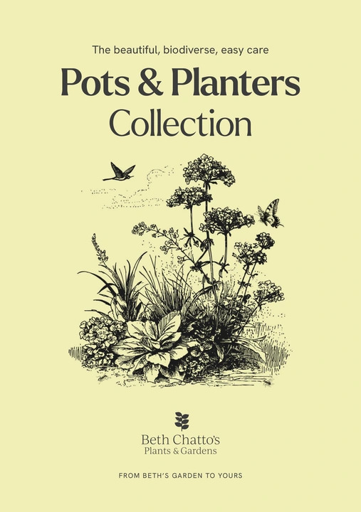 Pots and Planters Collection - Shade