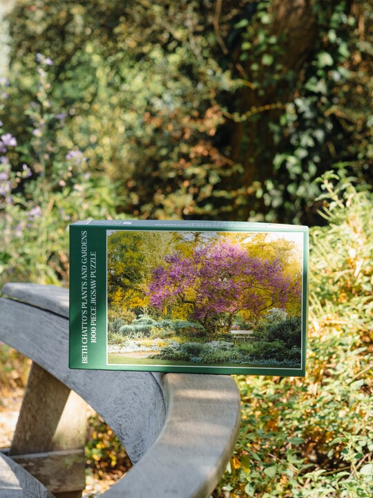 Beth Chatto Jigsaw Puzzle - Judas Tree in the Reservior Garden