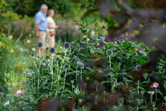 Summer Solstice in the Garden