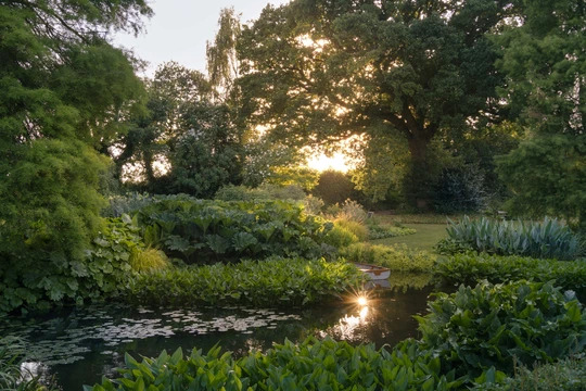 Summer Solstice in the Garden
