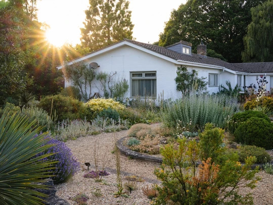 Summer Solstice in the Garden