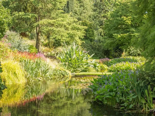 Plantsmanship by design course 