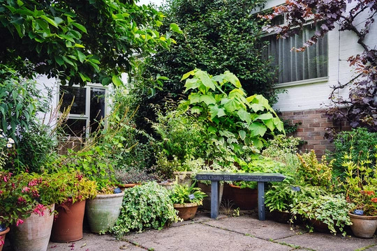 Pots and Planters Collection - Shade 