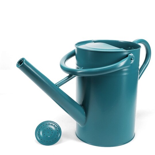 Galvanised Steel Watering Can 4.5L