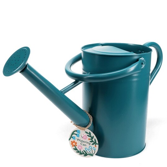 Galvanised Steel Watering Can 4.5L