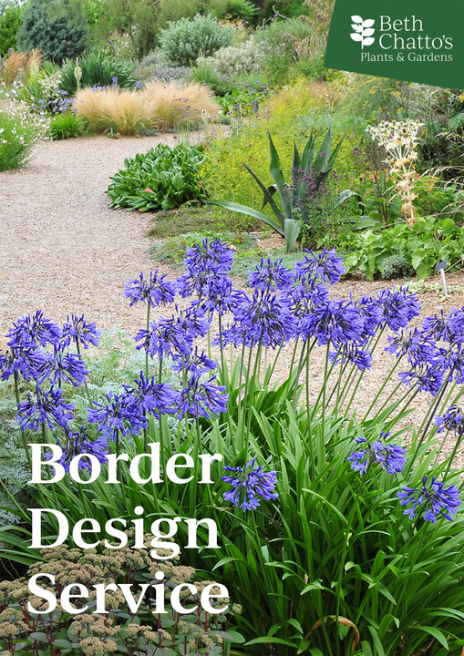 Border Design Service