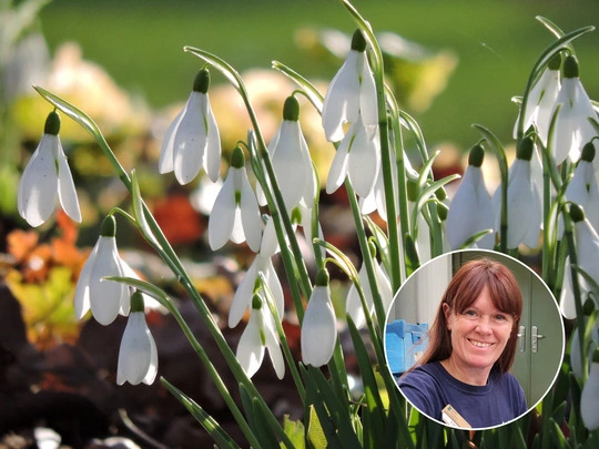 Bulb Chipping Masterclass