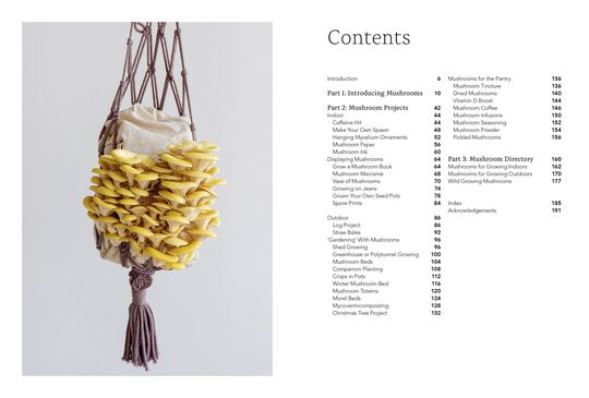 The Caley Brothers - Project Mushroom 
