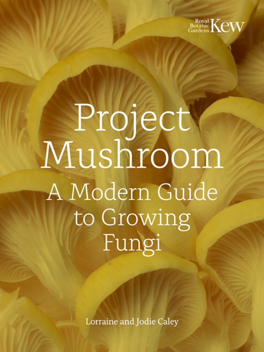 The Caley Brothers - Project Mushroom 