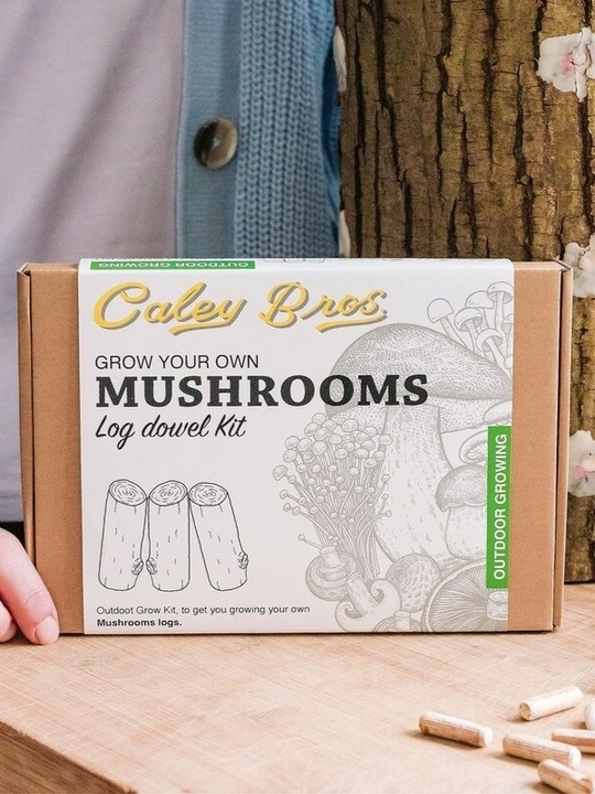Outdoor Mushroom Log Growing Kits - Log Inoculation kit 