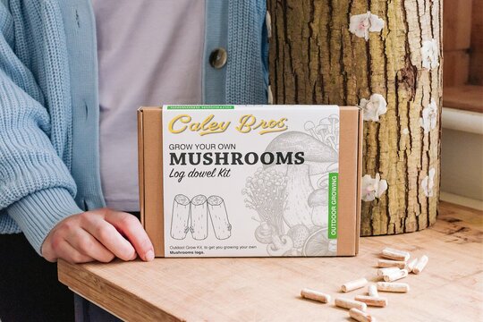 Outdoor Mushroom Log Growing Kits - Log Inoculation kit 