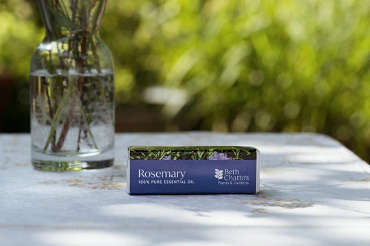 Rosemary Essential Oil