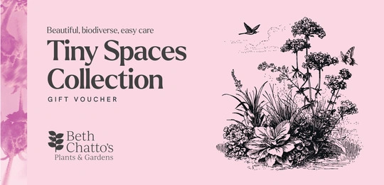 Tiny Spaces Collection Voucher