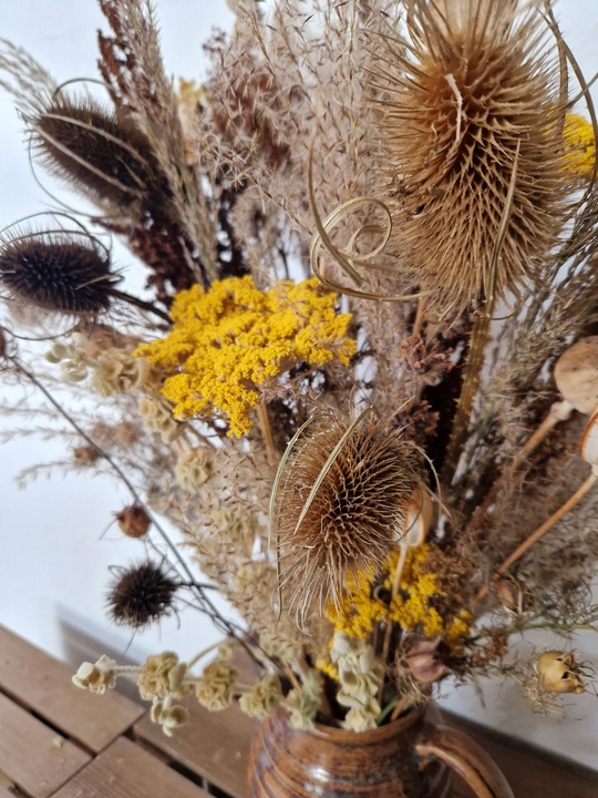 Beth Chatto's Dried Flowers 