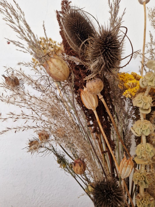 Beth Chatto's Dried Flowers 