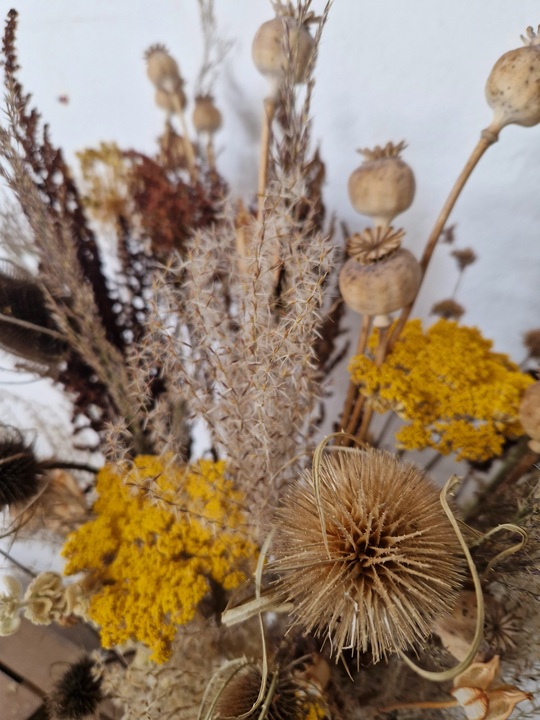 Beth Chatto's Dried Flowers 