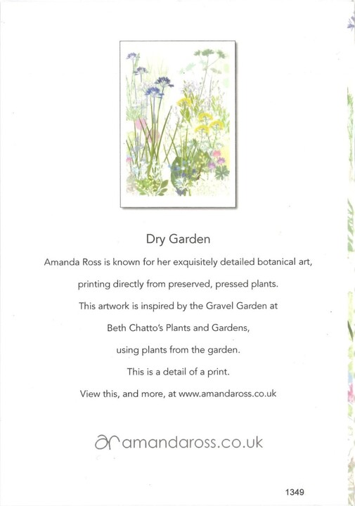 Beth Chatto Card - Dry Garden