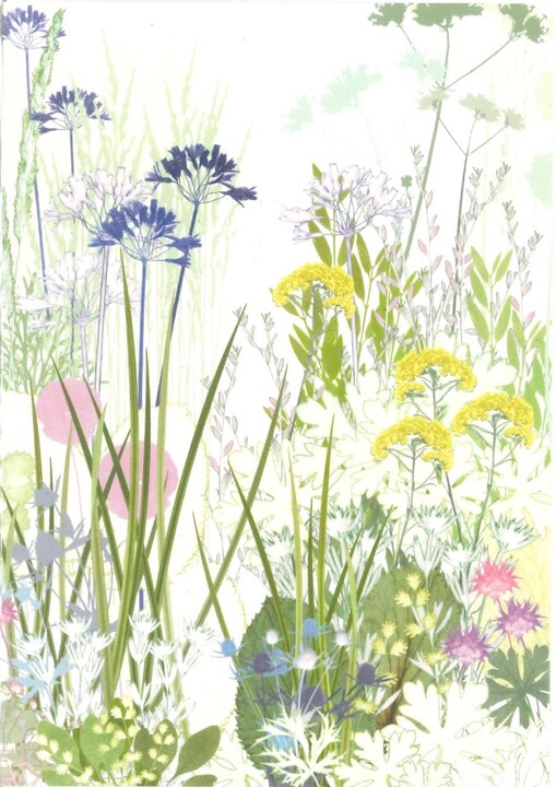 Beth Chatto Card - Dry Garden