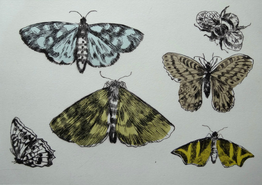Drypoint Etching and Chine Colle'