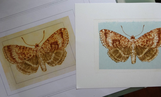 Drypoint Etching and Chine Colle'