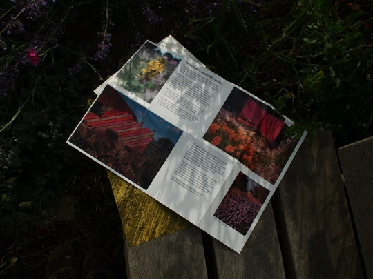 The Meanwhile Garden Zine #1