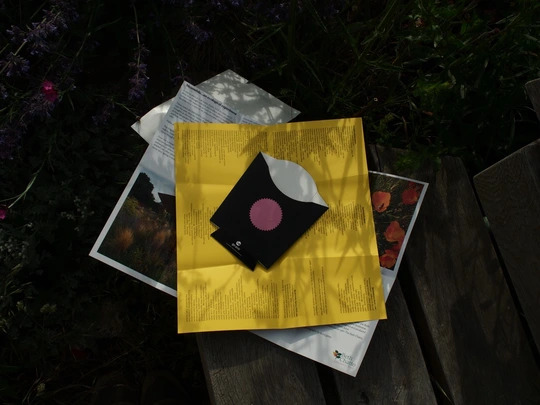 The Meanwhile Garden Zine #1