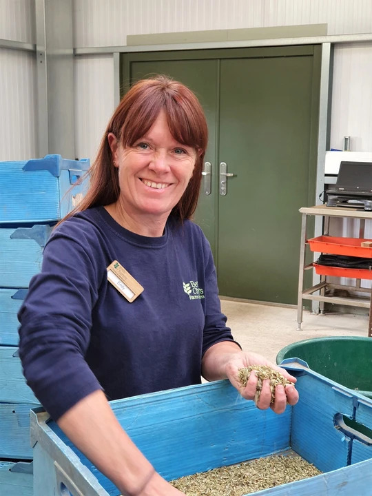 Cuttings Masterclass with Emily Allard