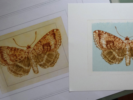 Drypoint Etching and Chine Colle'