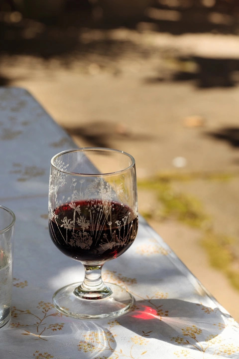 Gravel Garden Glass Goblet - Designed by Emma Britton
