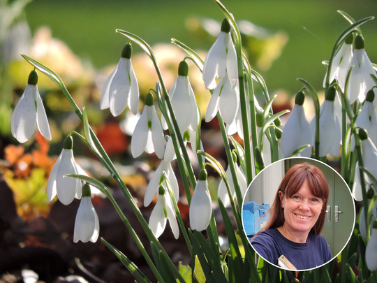 Bulb Chipping Masterclass with Emily Allard