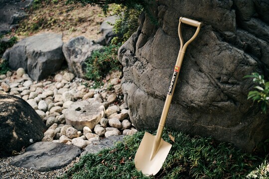 Niwaki Golden Spade Standard