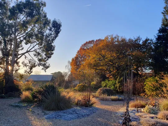 Beth Chatto Christmas Fair 