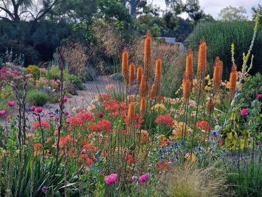 Focus on Border Design